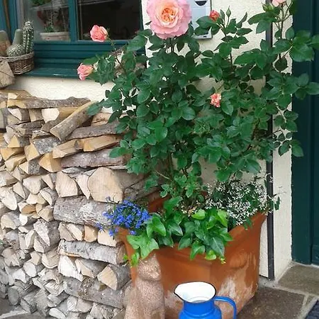 Holdhaeusl Apartamento Schladming