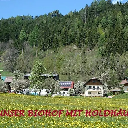 Apartment Holdhäusl *