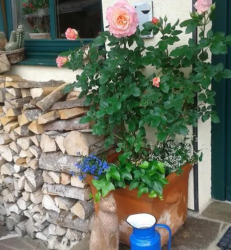 Holdhäusl Apartment Schladming